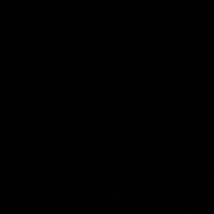 Meet your Posher, Tia